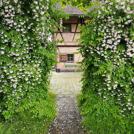 Jugendherberge Feldkirch Hostel *