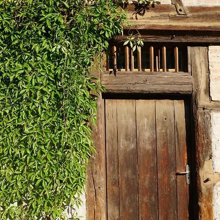 Jugendherberge Feldkirch Feldkirch